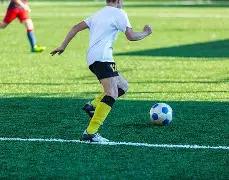 河北与浙江,队跻身德转,中超注册名,永利高101net,永利高101net官网,永利高101net官网玩家首选